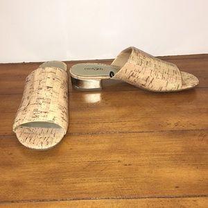 East 5th EF Sage slides